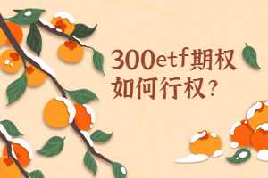 300etf期权交易如何行权？