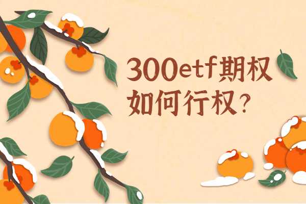 300etf期权交易如何行权？