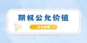 期权的公允价值怎么理解？