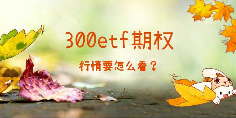 沪深300etf期权行情怎么看？