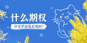 什么期权分仓平台是正规的？